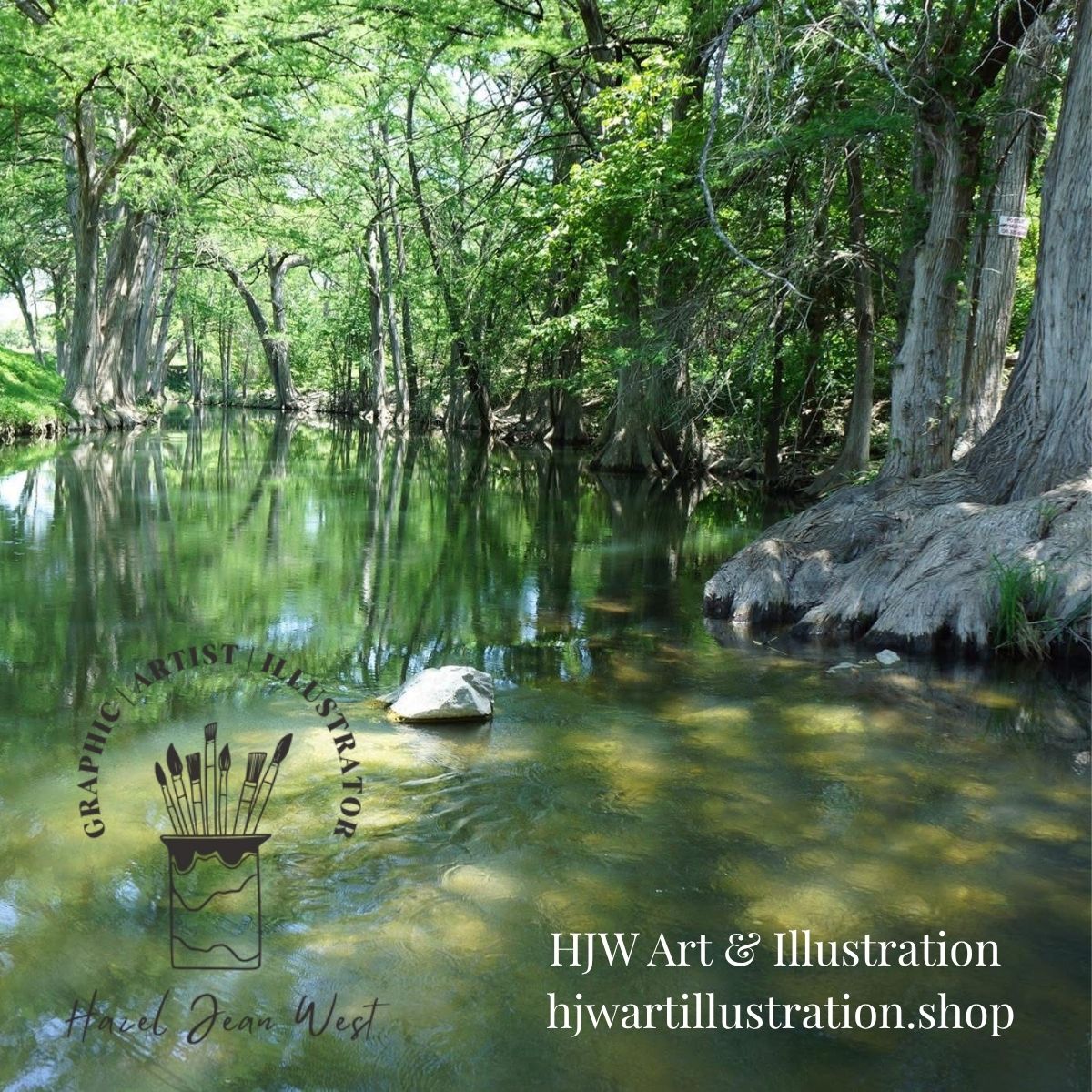 “Bald Cypress – Strength in the Flood” 4.25" x 5.5" Greeting Card
