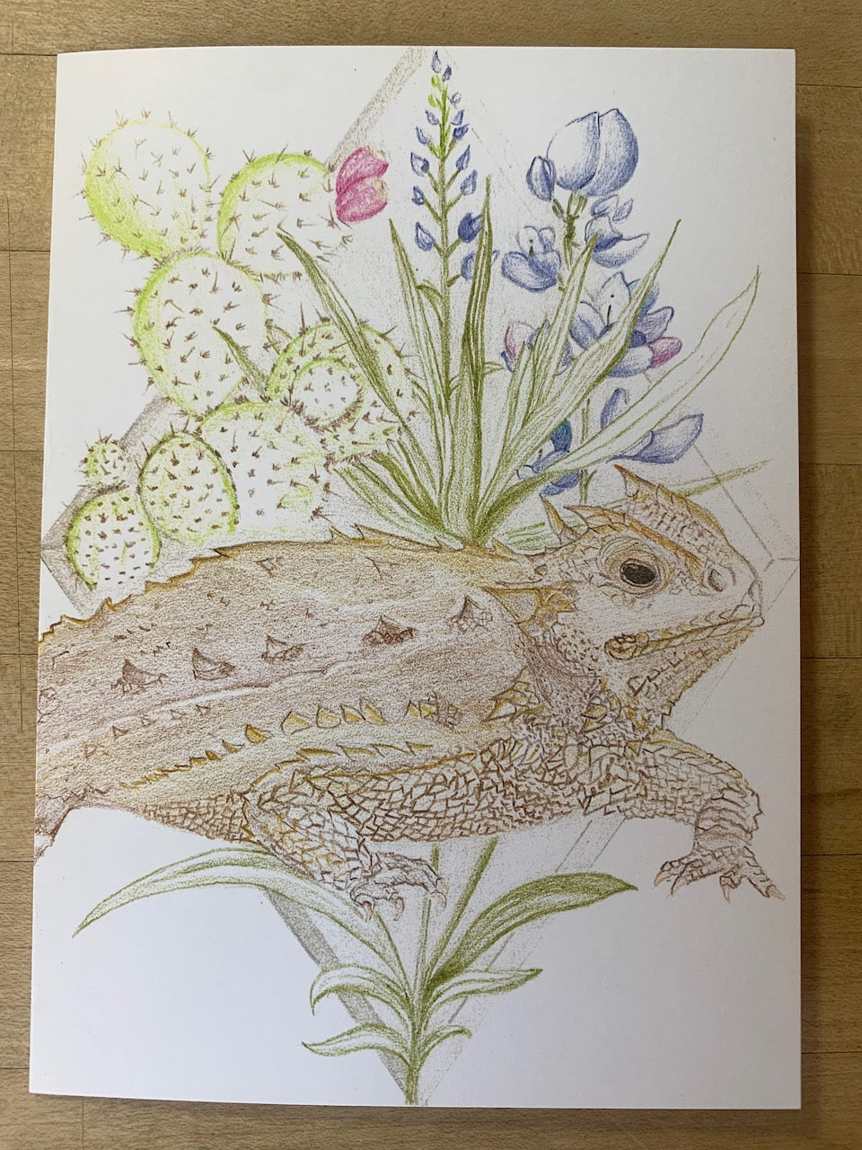 “Hill Country Guardian” — 5"x 7" Greeting Card