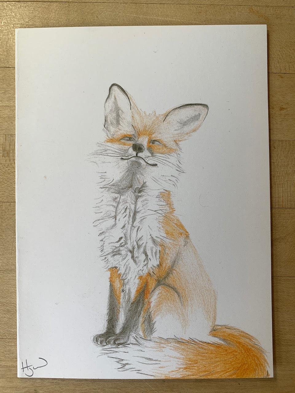 Foxy