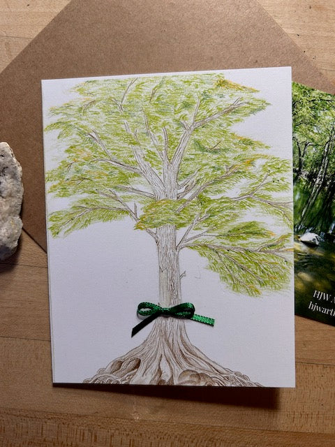 “Bald Cypress – Strength in the Flood” 4.25" x 5.5" Greeting Card